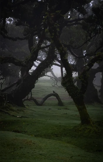 Fotografia osobista 1